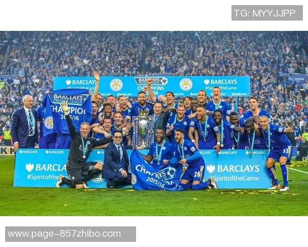 加的夫城与西汉姆联的精彩对决展现英超球队的实力与魅力