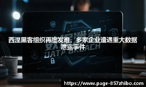 西涅黑客组织再度发难，多家企业遭遇重大数据泄露事件