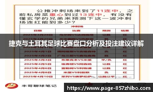 捷克与土耳其足球比赛盘口分析及投注建议详解